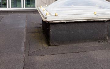disadvantages of Cruxton flat roofs