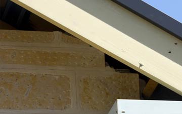 soffit repair Cruxton